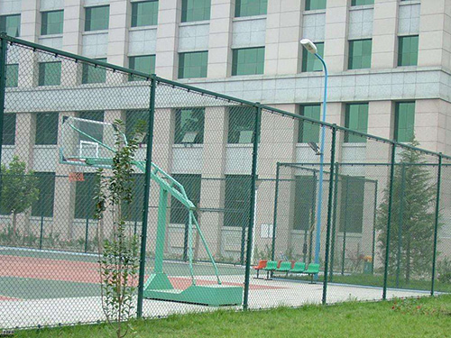 篮球场菱形网图片2